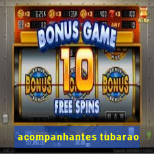 acompanhantes tubarao